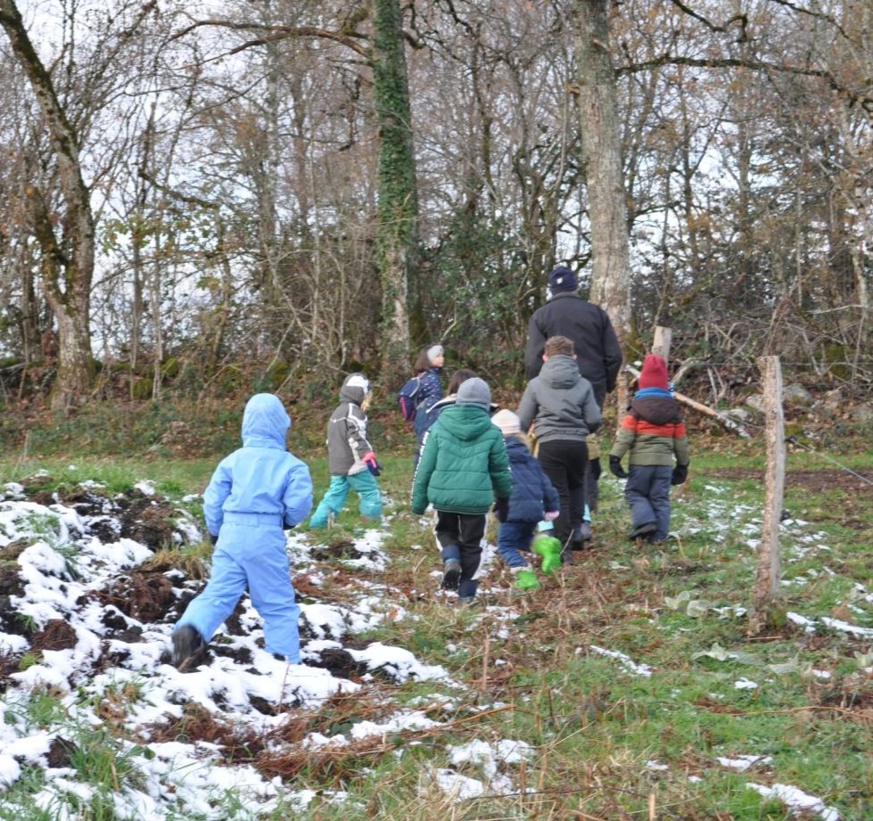 Enfants en sortie forêt.